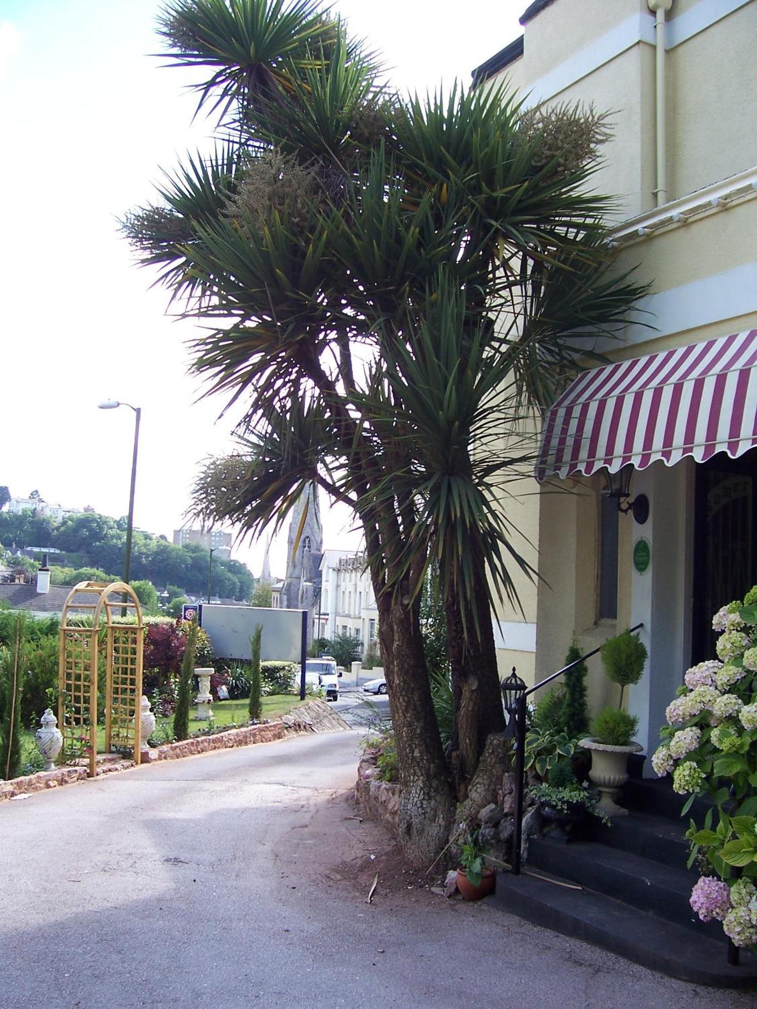 The Somerville Torquay Kültér fotó